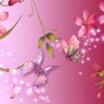 Thảo My Tr ở ,  - 