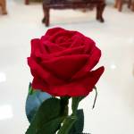 Đỗ Hồng Minh - tim ban trai da ly hon qua so dien thoai