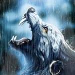 Dương Lê ở ,  - 