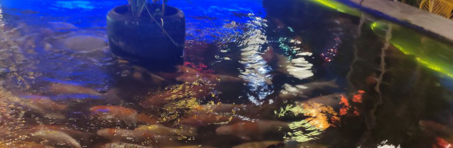 Trần đạt vinh Cover Image