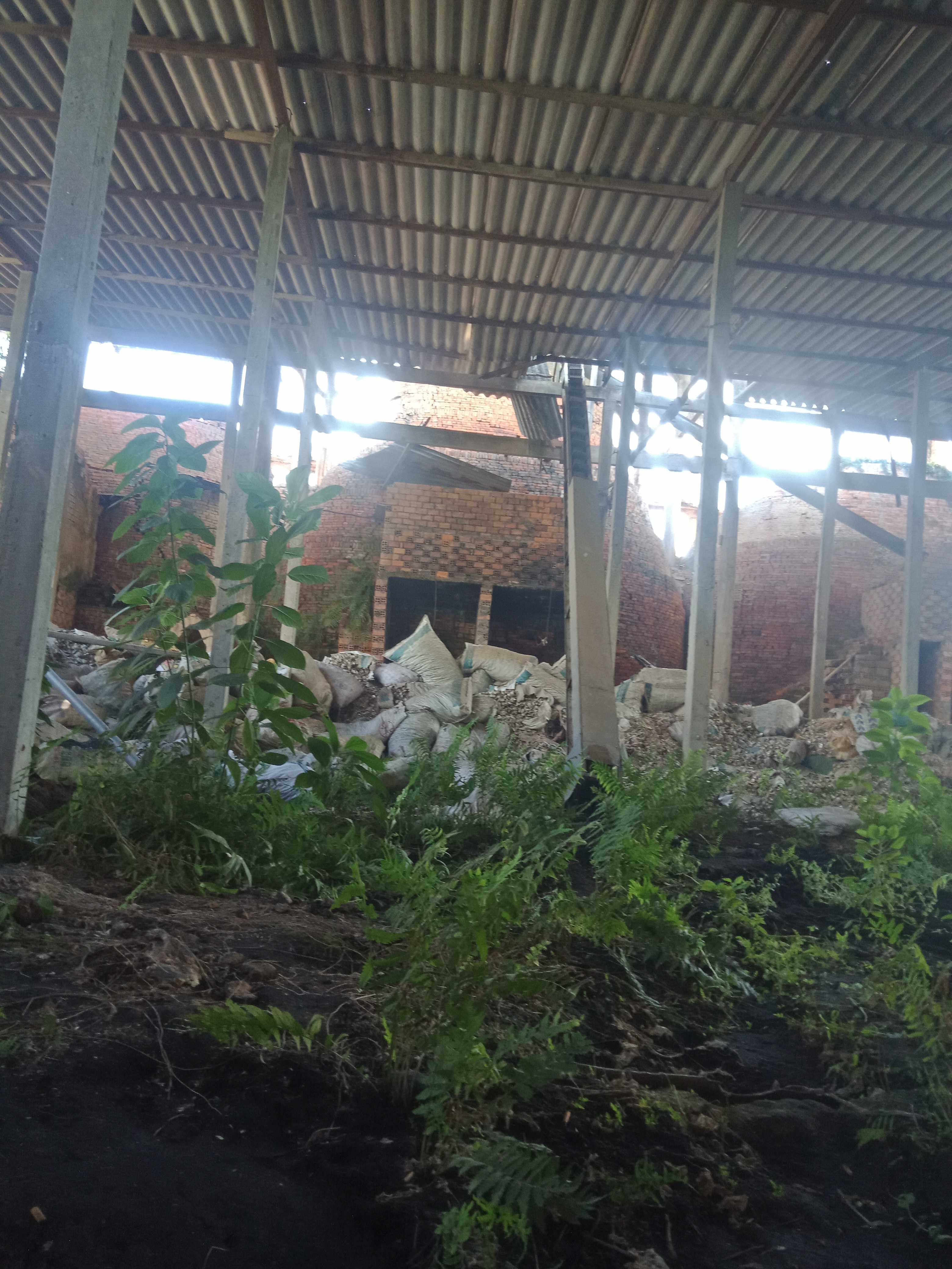 NL (Nam) Đã ly dị - Tìm bạn tâm sự tại An Phú An Giang