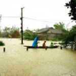 Hieu Nguye ở Quận 8, TP Hồ Chí Minh - Ít nói