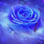 Một Mình ở Gia Lâm, Hà Nội - Ngoại hình ưa nhìn. Chung thủy