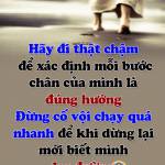 hải ở Quận 2, TP Hồ Chí Minh - vô tư dao lưu