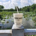 Trần Duy - tim ban trai da ly hon qua so dien thoai