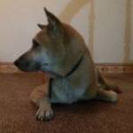 Nguyễn Hải ở ,  - 