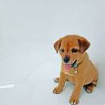 Thùy Lương ở Cái Răng, Cần Thơ - Là người ít nói