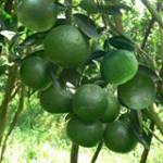 Công Trình ở ,  - 