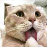 Hai ở Quận 12, TP Hồ Chí Minh - Vui vẻ