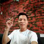 Dương tùng ở Quận 9, TP Hồ Chí Minh - Giản dị