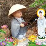 Xin Lỗi Gđ ở ,  - 