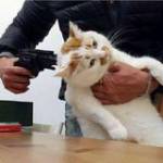 Bảo Doãn ở Gò Vấp, TP Hồ Chí Minh - Chân thành, sâu sắc