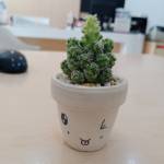 Thanh ở Ninh Kiều, Cần Thơ - Tôi muốn tìm một nữa chấp nhận