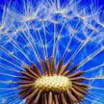 Thuận Hoàn ở Nam Từ Liêm, Hà Nội - OK, chiều bạn