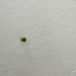 Naturo ở Hải An, Hải Phòng - Tìm FWB