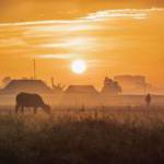 Kiên Lê ở Đông Sơn, Thanh Hóa - Vui vẻ , hoà đồng , dễ gần