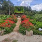 Nam Trần - tim ban trai da ly hon qua so dien thoai