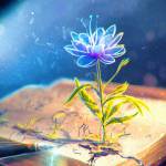 Dạ Vũ tim ban les fem qua so dien thoai