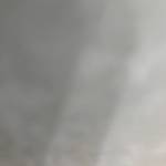 Huan ở Long Biên, Hà Nội - Vui vẻ hoà đồng