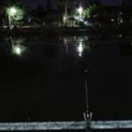 Cay Đắng ở ,  - 