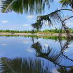 Bánh Mì Tu ở ,  - 