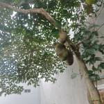 Vũ ở Quận 9, TP Hồ Chí Minh - Nam 24t