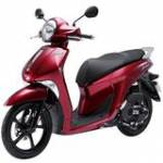 Namson Vu Profile Picture