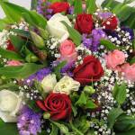 Nui rung t ở Sa Pa, Lào Cai - Binh thuong