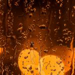 Trong ở Bà Rịa, Bà Rịa - Vũng Tàu - Jrkrnfrkk