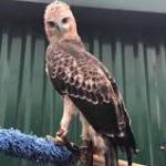 Đoàn Hoàng ở Củ Chi, TP Hồ Chí Minh - Ít nói. Vui vẻ dễ chịu