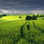 Hoàng Đinh ở ,  - 