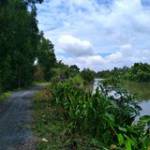 Cầu Vòng T ở ,  - 