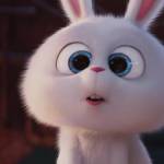 quỳnh anh ở Liên Chiểu, Đà Nẵng - mình là fem. muốn tìm fwb