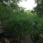 Hanhan ở Quận 7, TP Hồ Chí Minh - Đẹp hiền vui ..