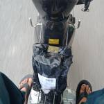 Ko ten ở Phan Rang-Tháp Chàm, Ninh Thuận - Bình thường