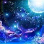 Kiệt Trung ở Quận 5, TP Hồ Chí Minh - Hòa đồng.thân thiện