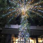 Mạnh Cường ở Gia Lâm, Hà Nội - Vui vẻ , hoà đồng