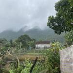 Hung ở Hải Hậu, Nam Định - Sống hoà đồng