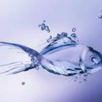 Phong Tran ở Quận 1, TP Hồ Chí Minh - Độc thân vui tinh hoà đồng