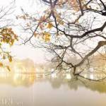 Nguyễn Tha ở Hải Hậu, Nam Định - vui tính, dễ gần, .....