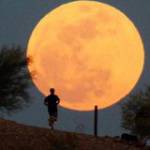 Đại Nguyễn ở ,  - 