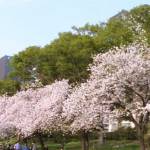 KIỆT ở Tân Phú, TP Hồ Chí Minh - tôi bình thường