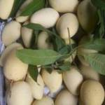 Huong Le ở Cao Lãnh, Đồng Tháp - La ng vv hoa dong bt qtam ngkh