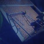 Nguyenthan ở Quận 1, TP Hồ Chí Minh - Vui tính hoạt bat