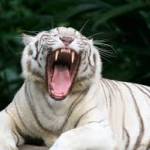 Thuấn ở Cà Mau, Cà Mau - Vv, nhiệt tình