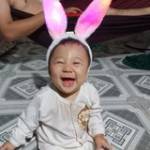 Bé Mon Ly ở Quận 8, TP Hồ Chí Minh - Nhìn bê Hoài hơi khó gần quen 