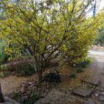 Thai Thai  ở Cà Mau, Cà Mau - Vui vẻ hoà đồng