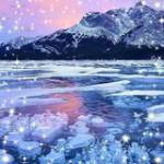 Lương Tran ở ,  - 