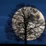 Ketoi ở Hải Châu, Đà Nẵng - Hiền lành tâm lý