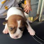 Tuan ở Dĩ An, Bình Dương - Vui vẻ hoà đồng